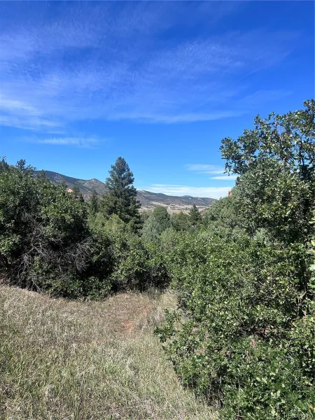 6031 Country Club Drive Larkspur CO 80118 | MLS #REC7501247 09122026083934 800 15
