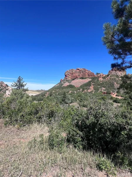 6031 Country Club Drive Larkspur CO 80118 | MLS #REC7501247 09122026083934 800 2