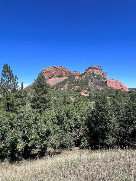 6031 Country Club Drive Larkspur CO 80118 | MLS #REC7501247 09122026083934 800 5