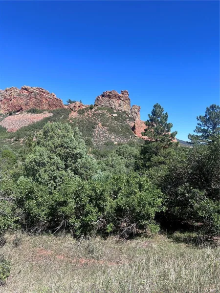 6031 Country Club Drive Larkspur CO 80118 | MLS #REC7501247 09122026083934 800 7