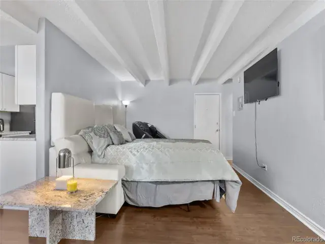 200 N Pearl Street #106 Denver CO 80203 | MLS #REC7509308 05122025063325 640 6