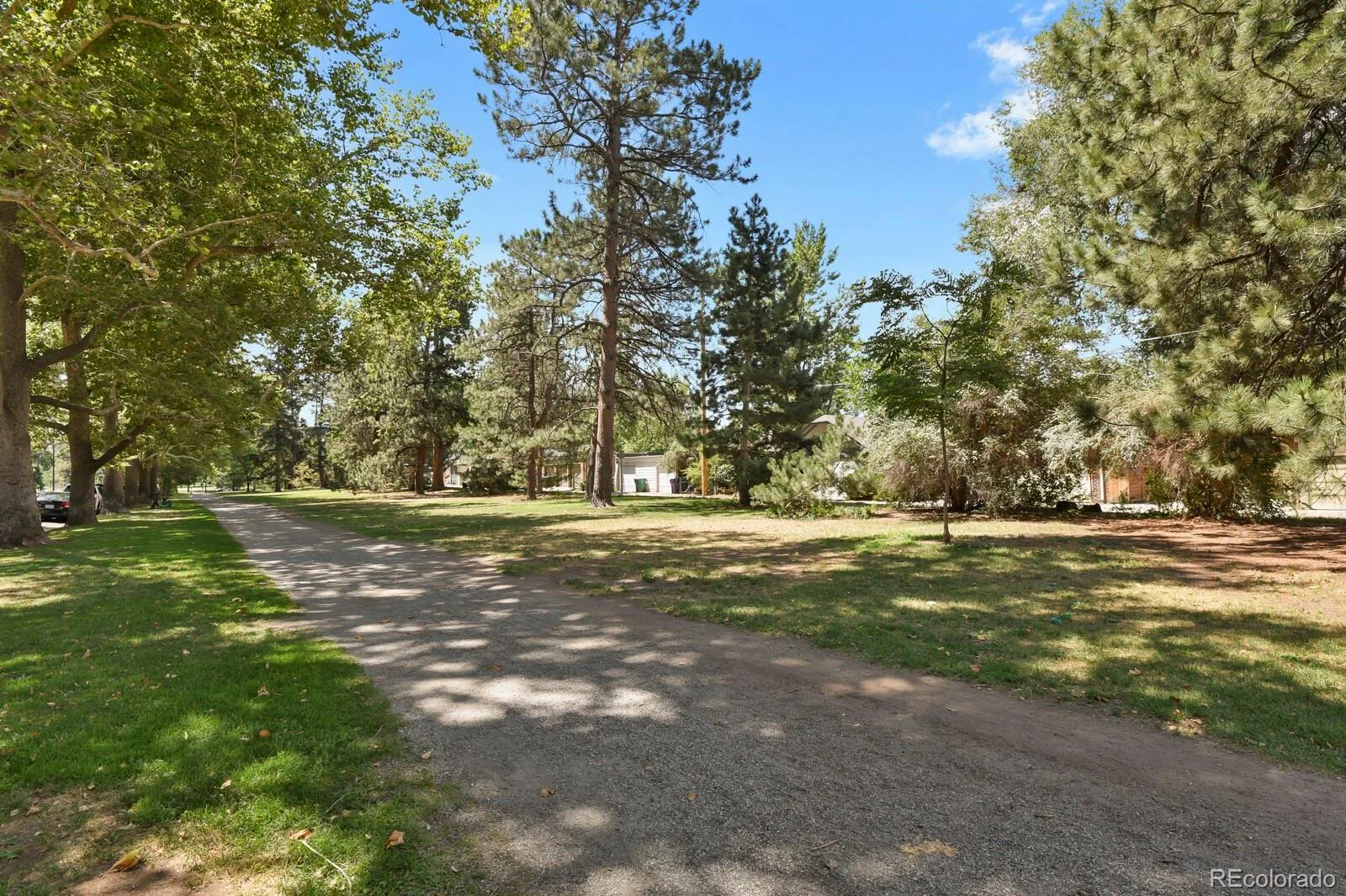 318 S Downing Street Denver CO 80209 | MLS #REC7531240 08062026233555 1600 41