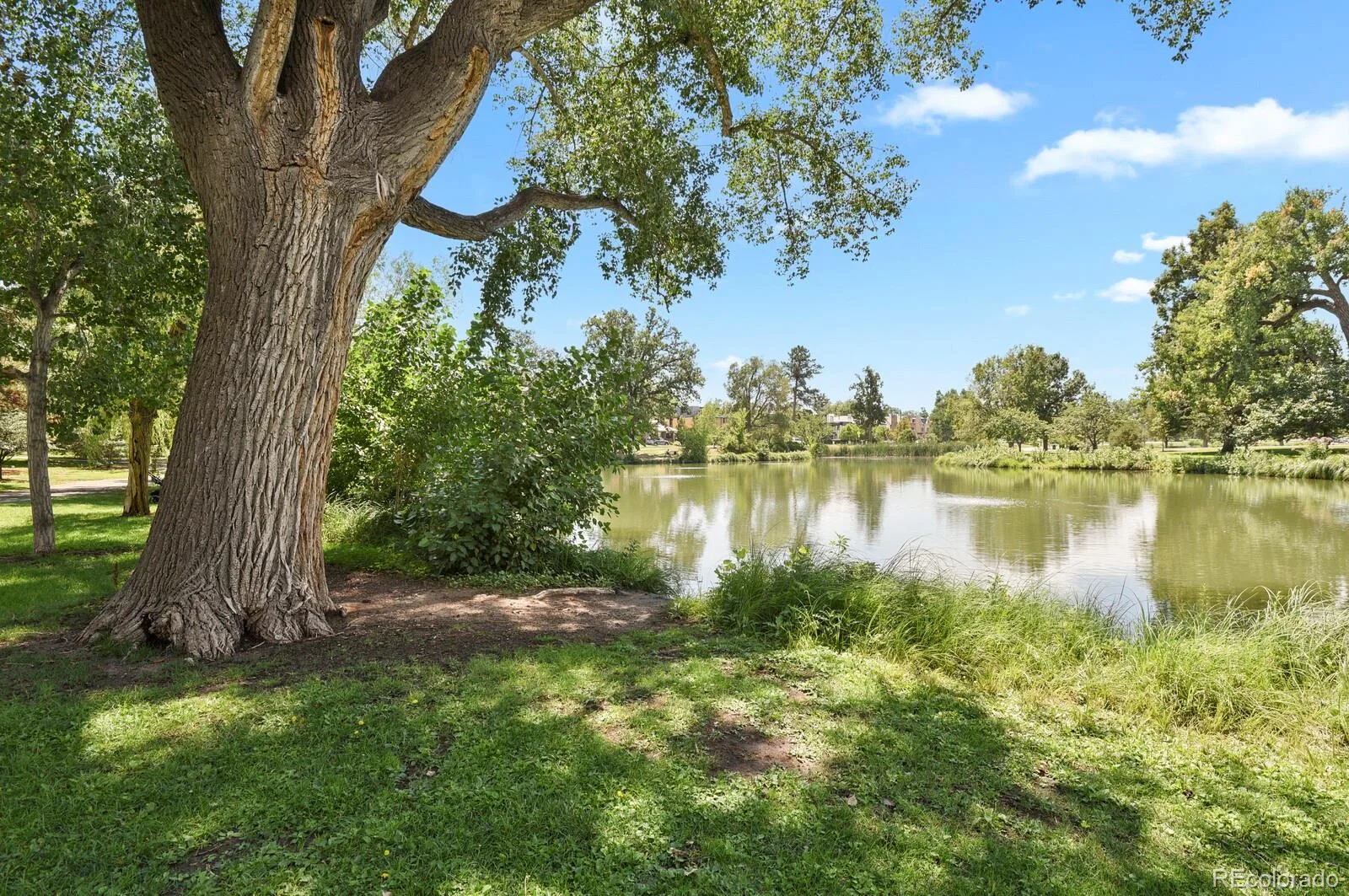 318 S Downing Street Denver CO 80209 | MLS #REC7531240 08062026233555 1600 44