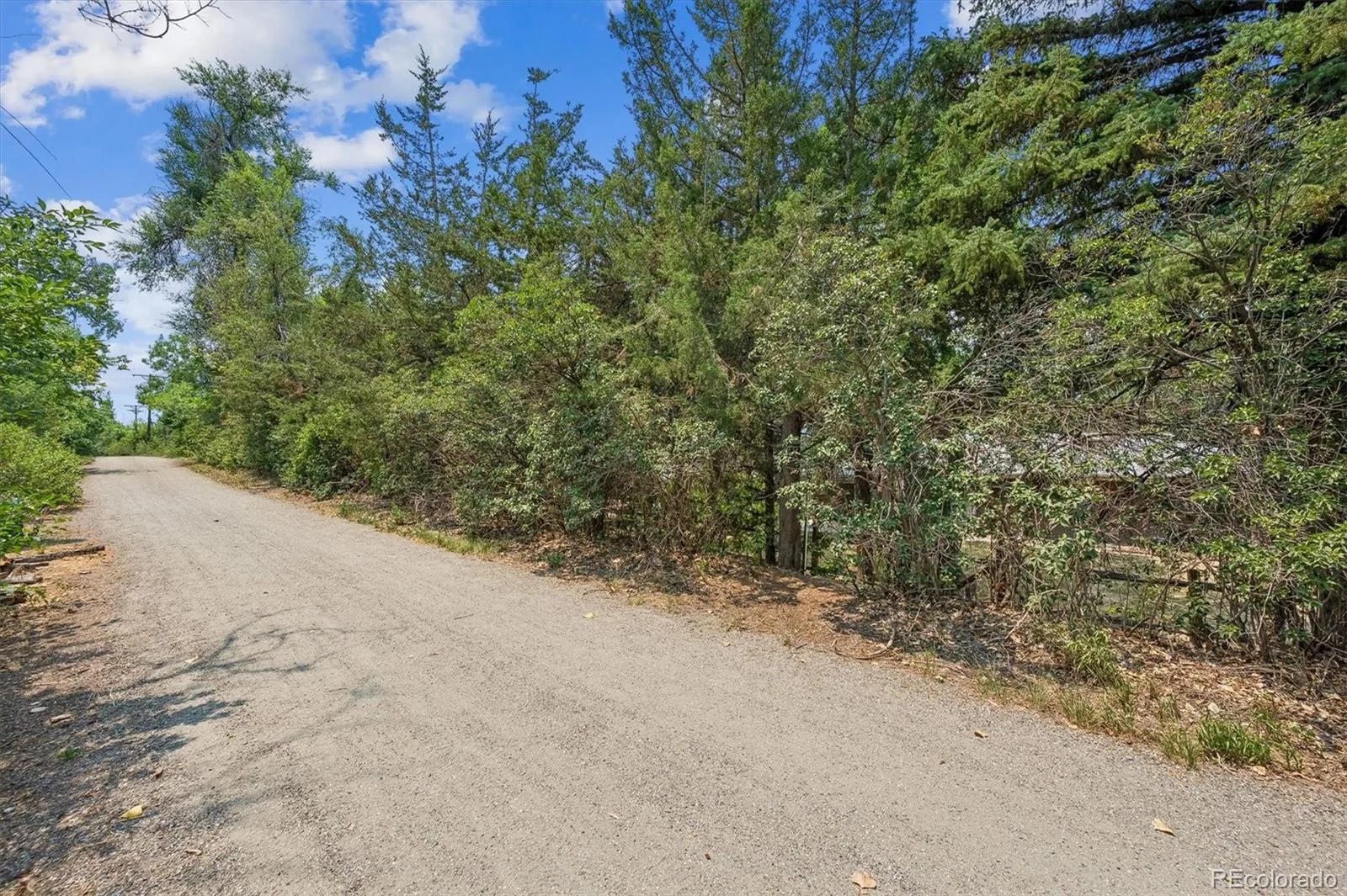 6408 S Acoma Street Littleton CO 80120 MLS #REC7536720 07092026040252 1600 1
