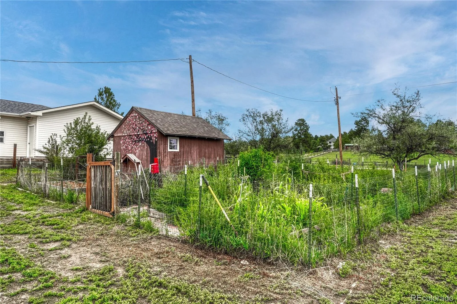 13715 N Winchester Way Parker CO 80138 | MLS #REC7539490 10012026141022 1600 46