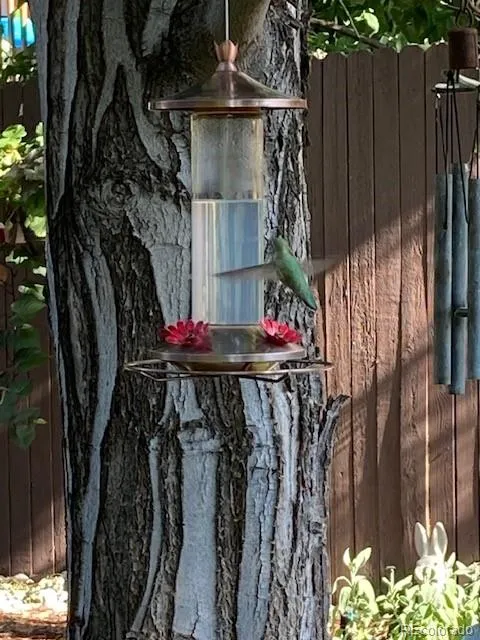 04062026161911 480 14