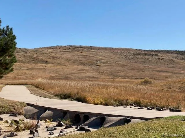 7808 Arundel Lane Lone Tree CO 80124 MLS #REC7539727 06252026144409 640 26