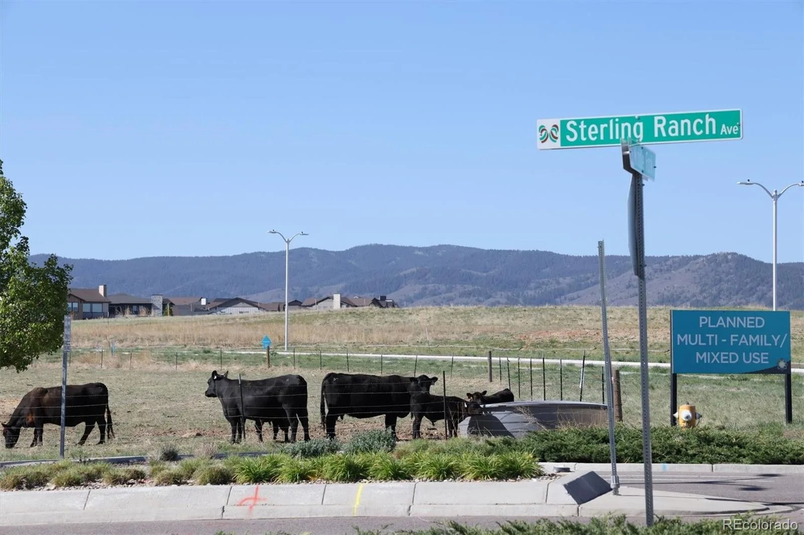 8416 Arapahoe Peak Street Littleton CO 80125 | MLS #REC7554734 08212026162503 1600 41