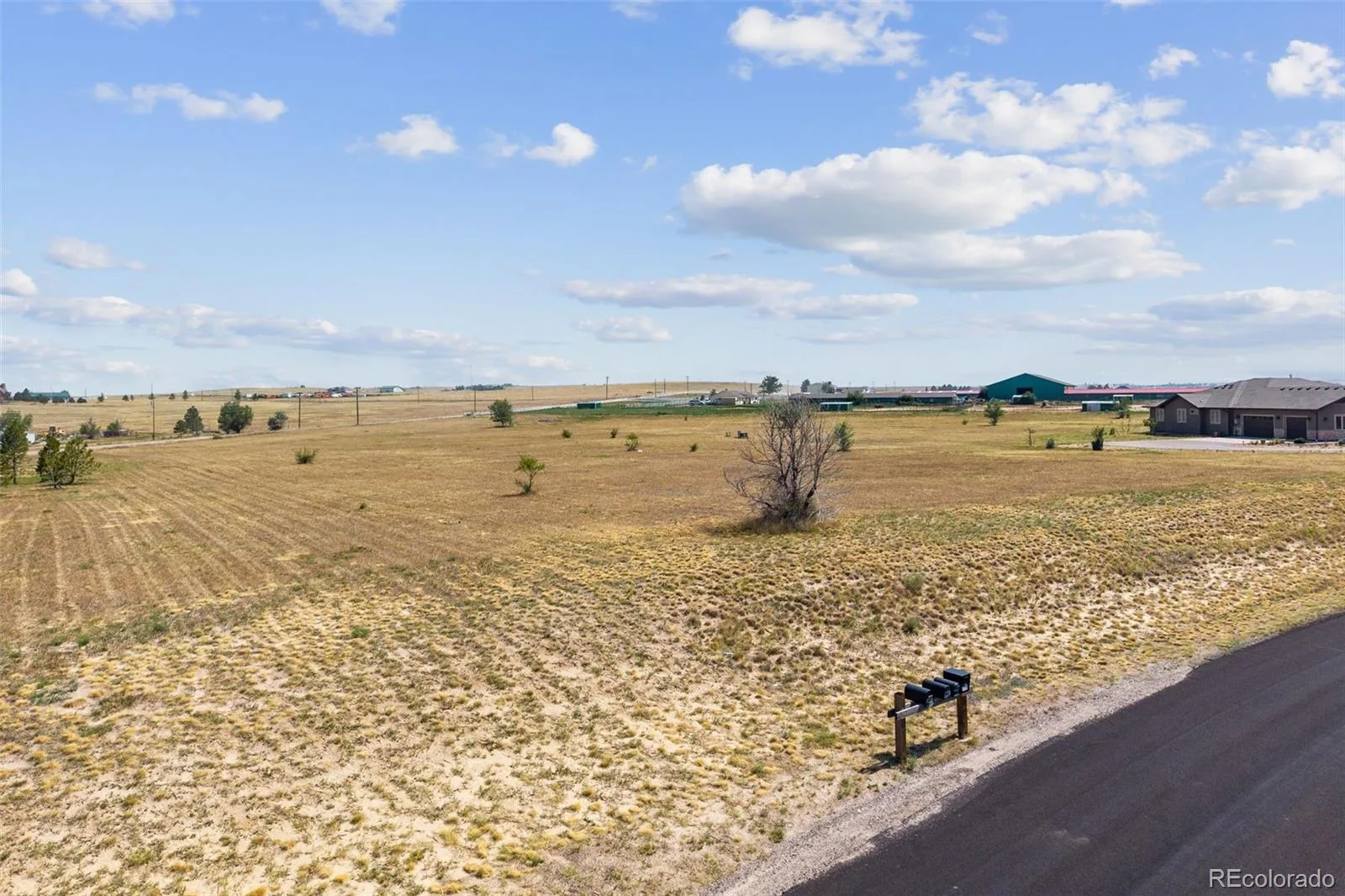 3960 Eastout Avenue Parker CO 80138 | MLS #REC7560553 08102026142000 1600 18