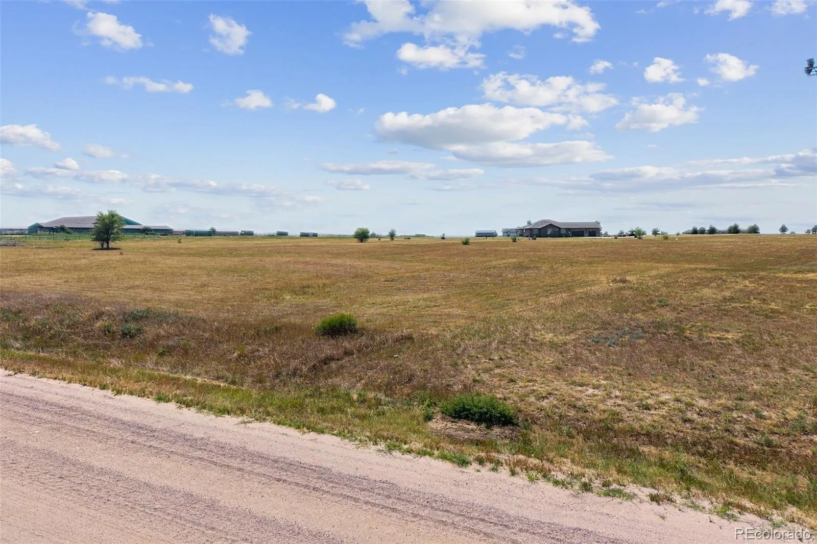 3960 Eastout Avenue Parker CO 80138 | MLS #REC7560553 08102026142000 1600 7