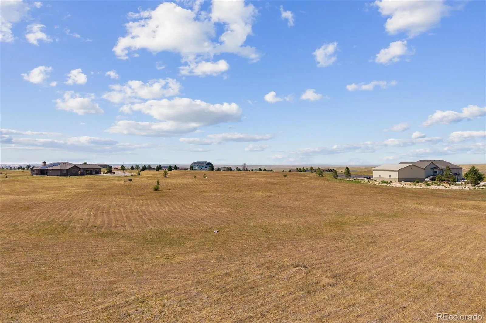 3960 Eastout Avenue Parker CO 80138 | MLS #REC7560553 08102026142000 1600 9