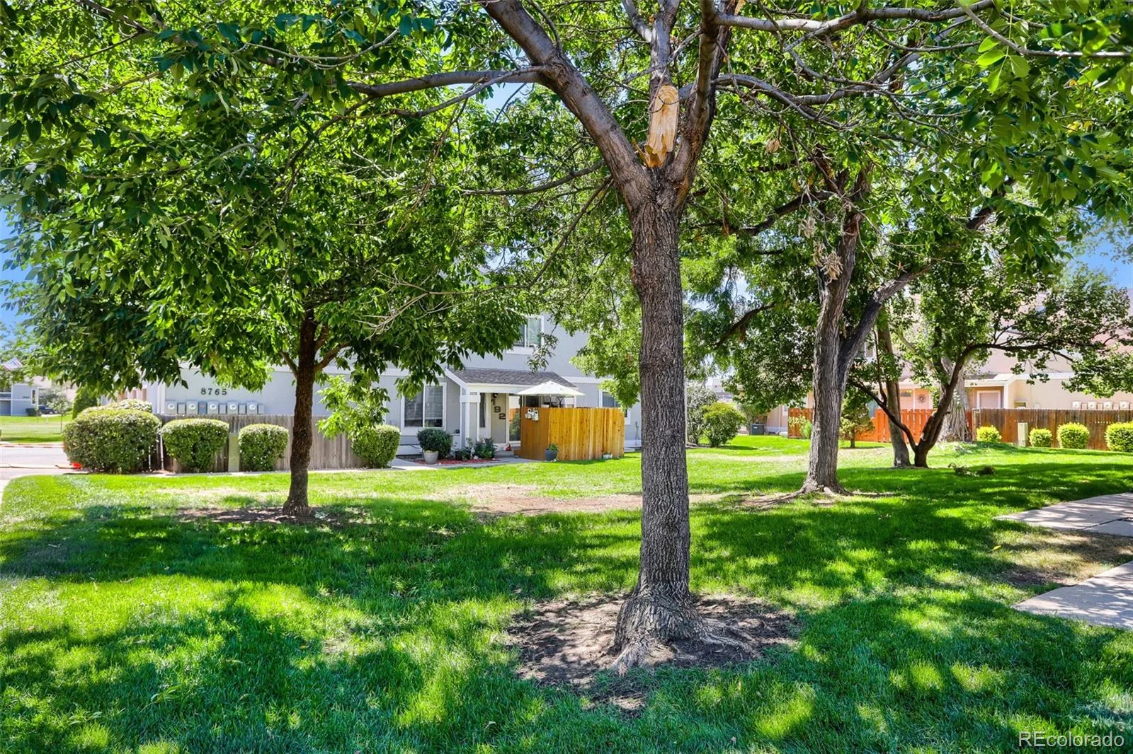 8767 Chase Drive #196 Arvada CO 80003 | MLS #REC7561862 08212026052451 1600 24