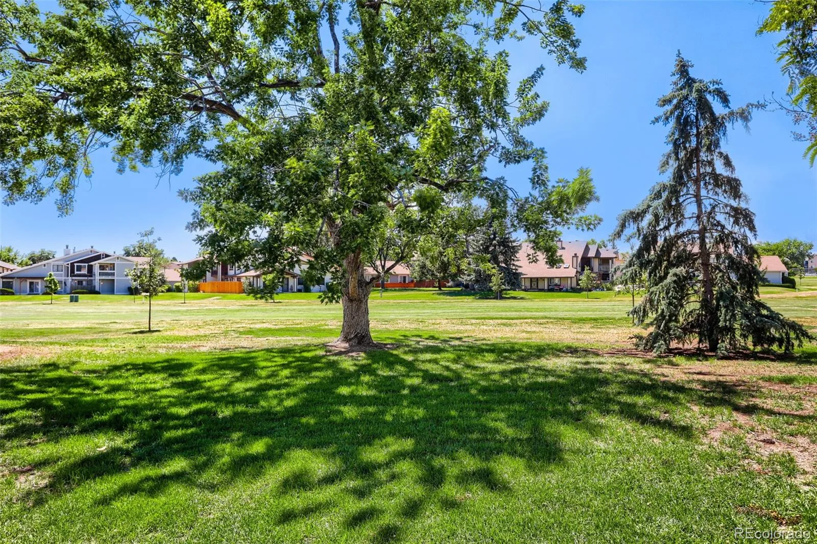 8767 Chase Drive #196 Arvada CO 80003 | MLS #REC7561862 08212026052451 1600 25