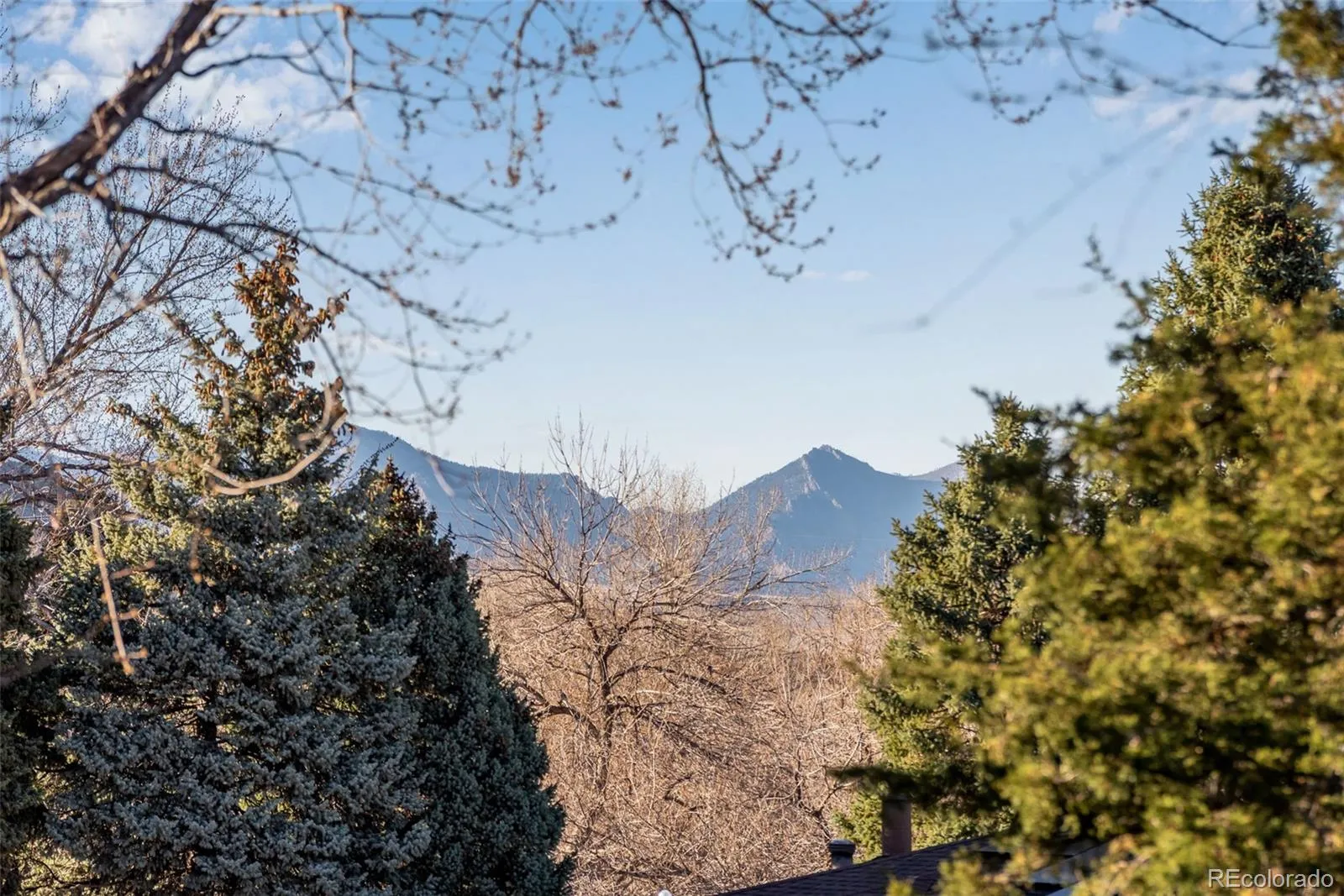 04042026182523 1600 8