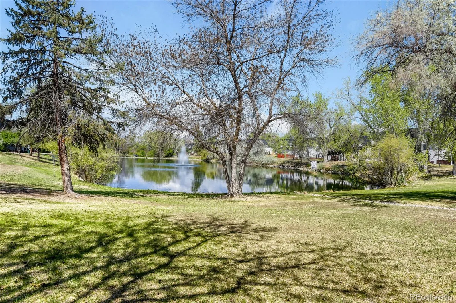 140 E Highline Circle #101 Centennial CO 80122 MLS #REC7581954 05022026053626 1600 24