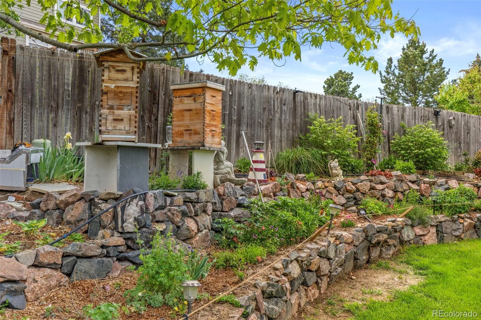 21504 Omaha Avenue Parker CO 80138 | MLS #REC7586874 06082026204023 1600 28