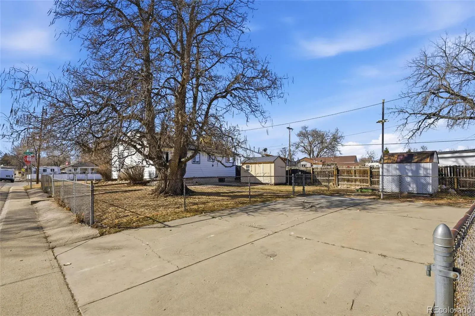 03062026110404 1600 15