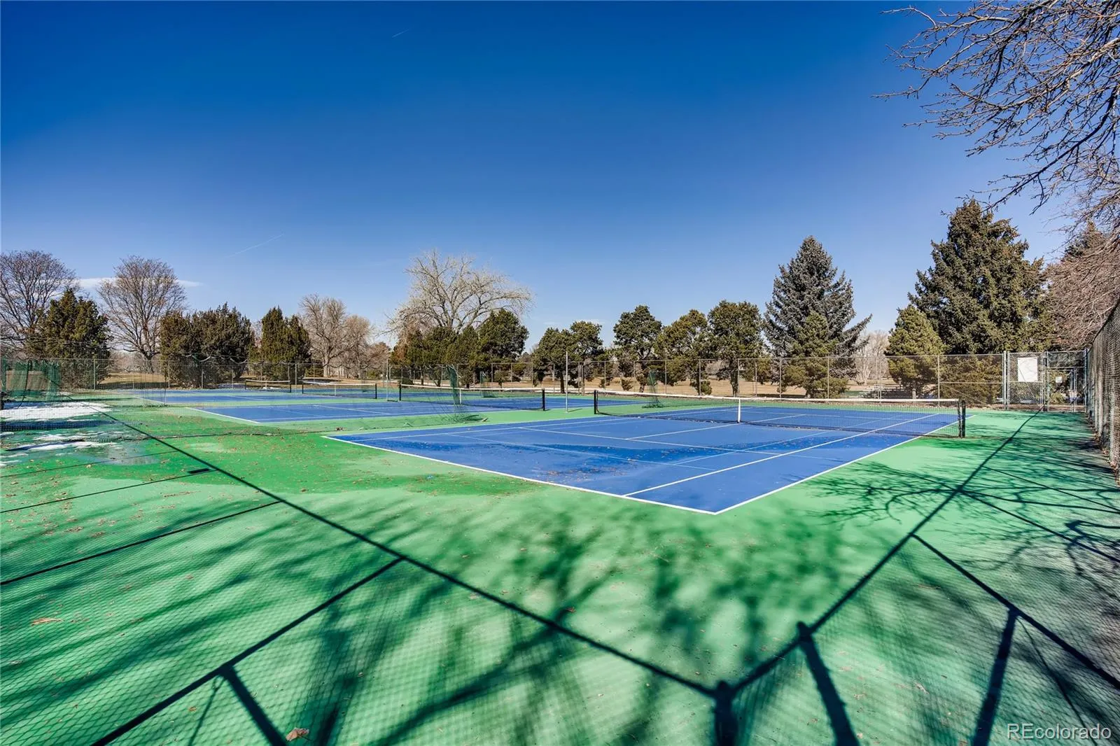 411 Leyden Street Denver CO 80220 MLS #REC7602321 04282026185140 1600 37