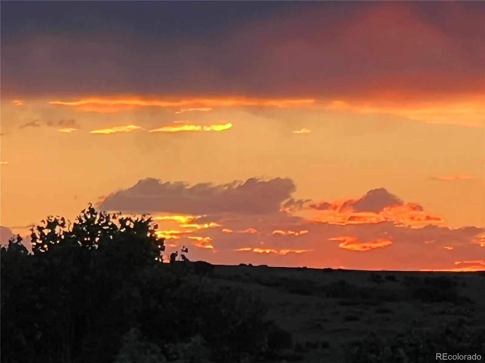 5692 Vistancia Drive Parker CO 80134 | MLS #REC7603689 08202026000458 1600 38