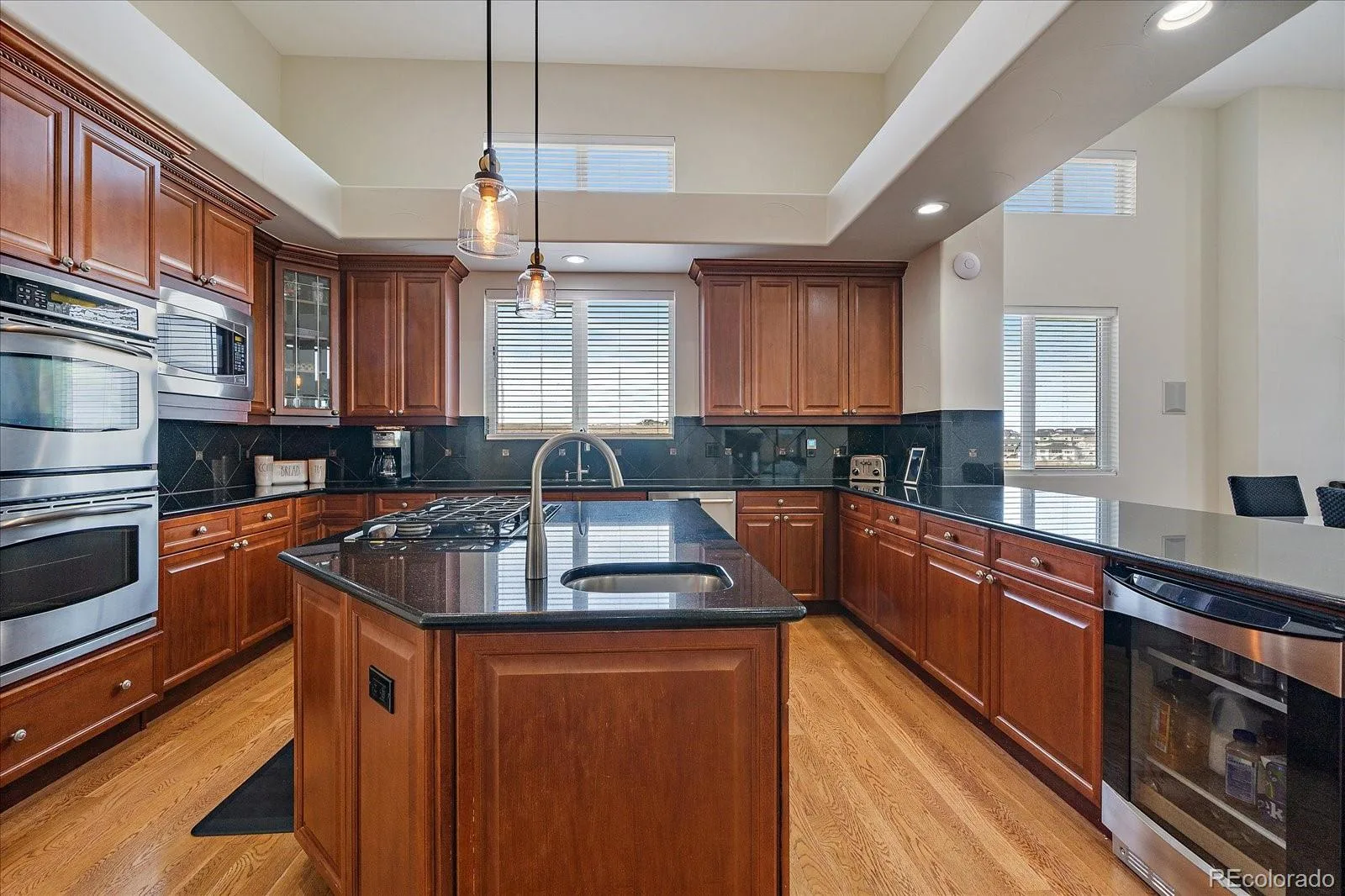 5692 Vistancia Drive Parker CO 80134 | MLS #REC7603689 08202026000458 1600 7