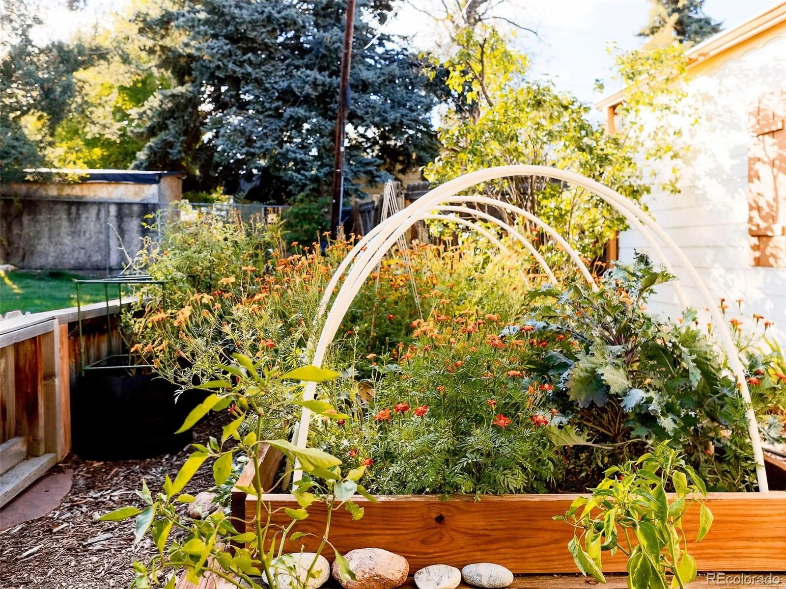 04162026163738 1600 17