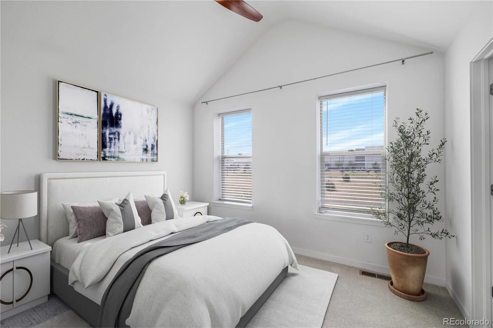 9811 E 56th Place Denver CO 80238 | MLS #REC7612113 08102026155125 1600 19