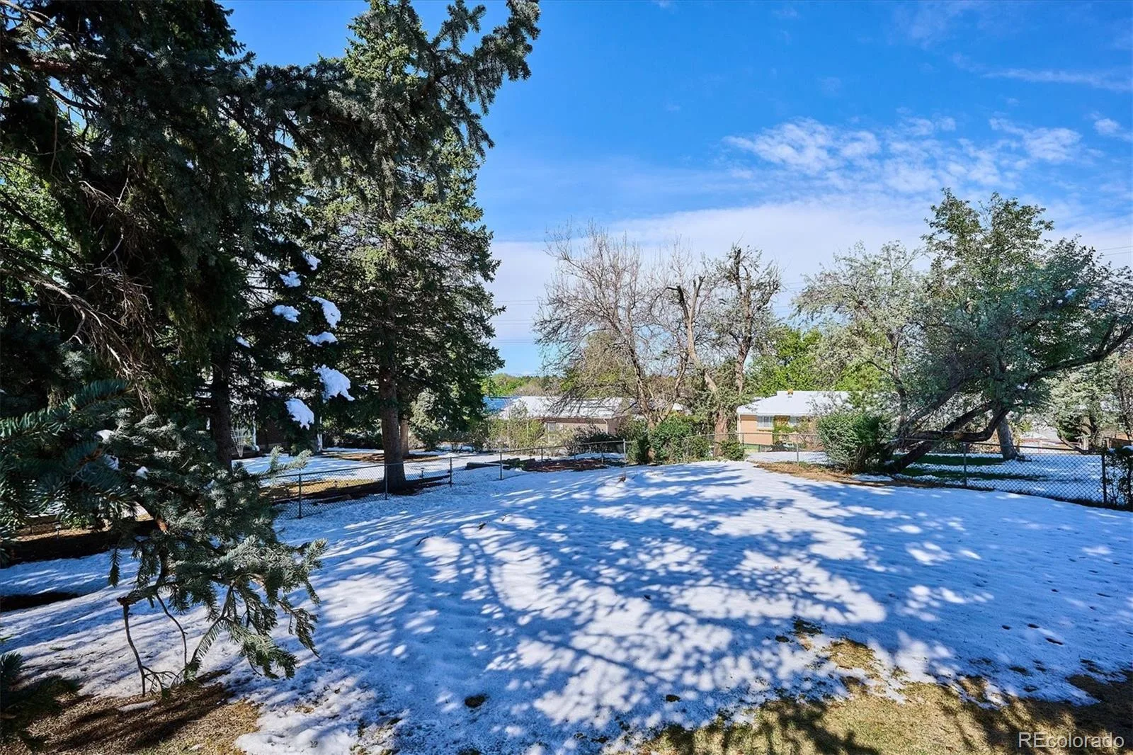 8264 E Kenyon Drive Denver CO 80237 MLS #REC7614815 06122026202542 1600 24