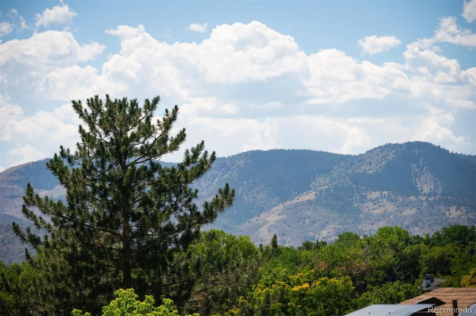 2220 S Beech Court Denver CO 80228 | MLS #REC7621132 08282026022621 1600 32