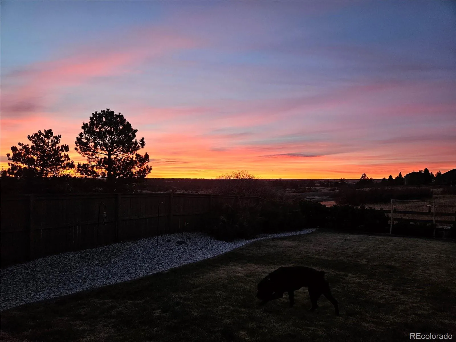 1294 Kittery Street Castle Rock CO 80104 | MLS #REC7622810 08272026095312 1600 45