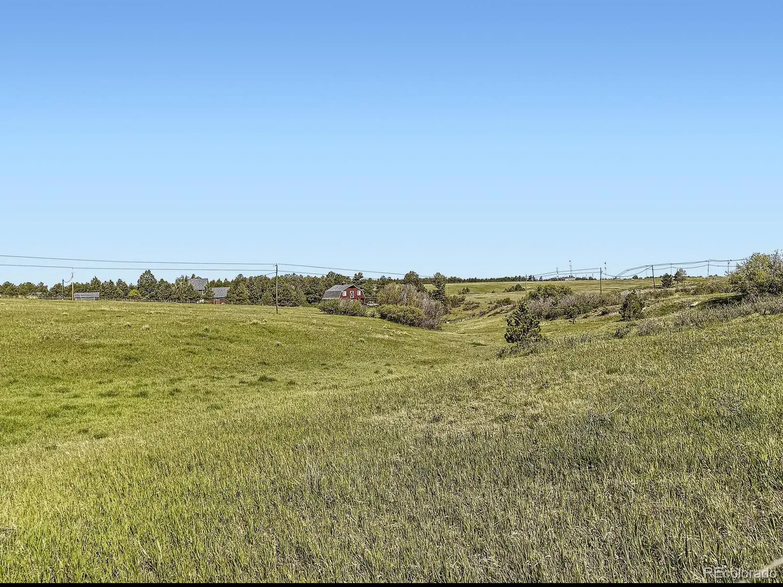 104 Bill Davis Road Franktown CO 80116 | MLS #REC7624943 01282026010647 1600 10