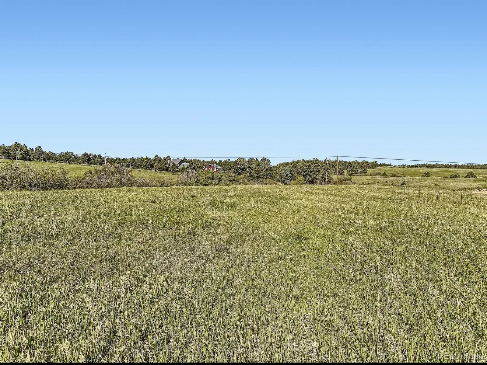 104 Bill Davis Road Franktown CO 80116 | MLS #REC7624943 01282026010647 1600 11