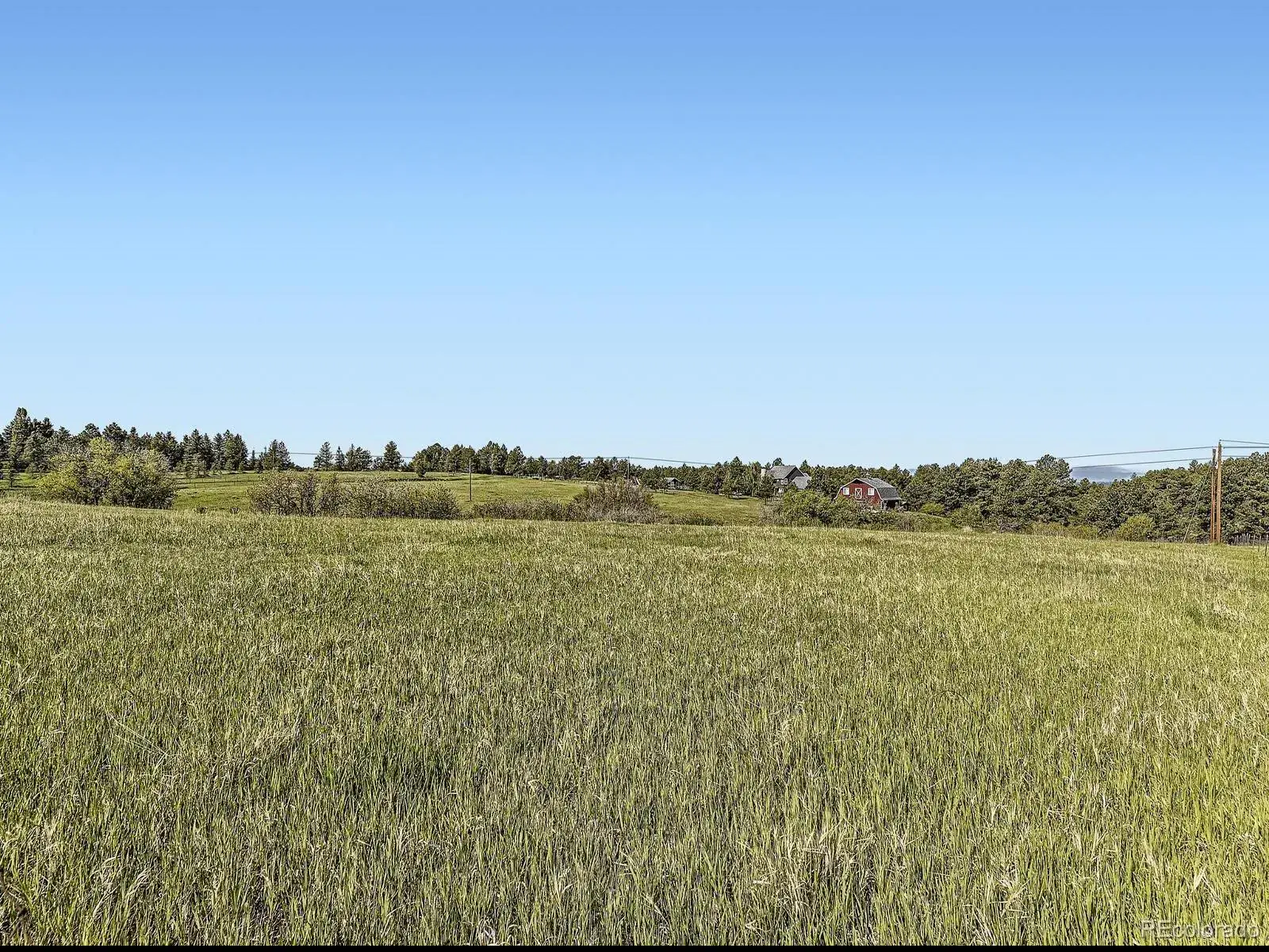 104 Bill Davis Road Franktown CO 80116 | MLS #REC7624943 01282026010647 1600 12