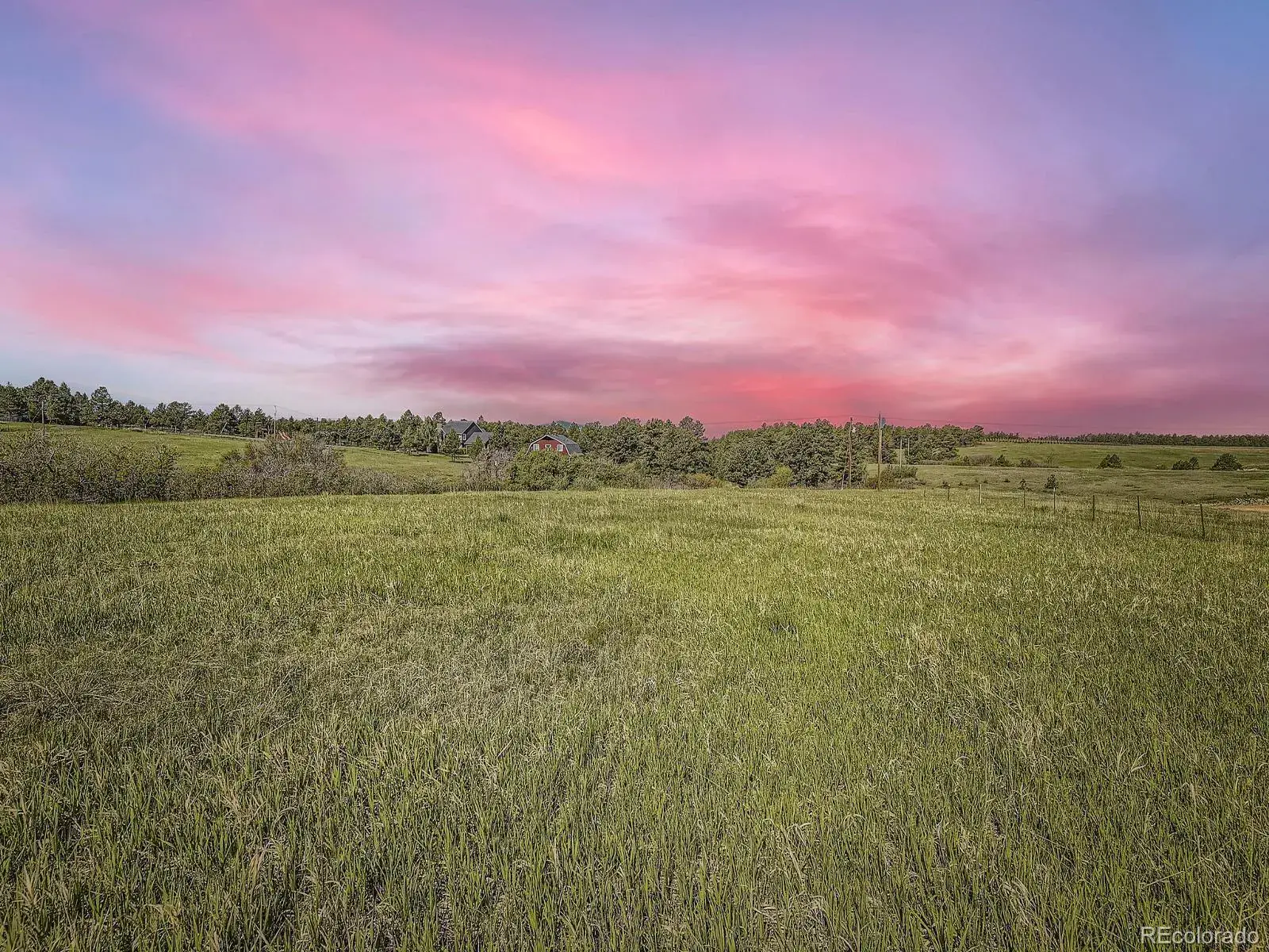 104 Bill Davis Road Franktown CO 80116 | MLS #REC7624943 01282026010647 1600 13