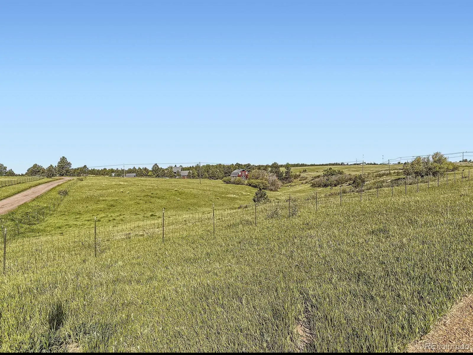 104 Bill Davis Road Franktown CO 80116 | MLS #REC7624943 01282026010647 1600 7