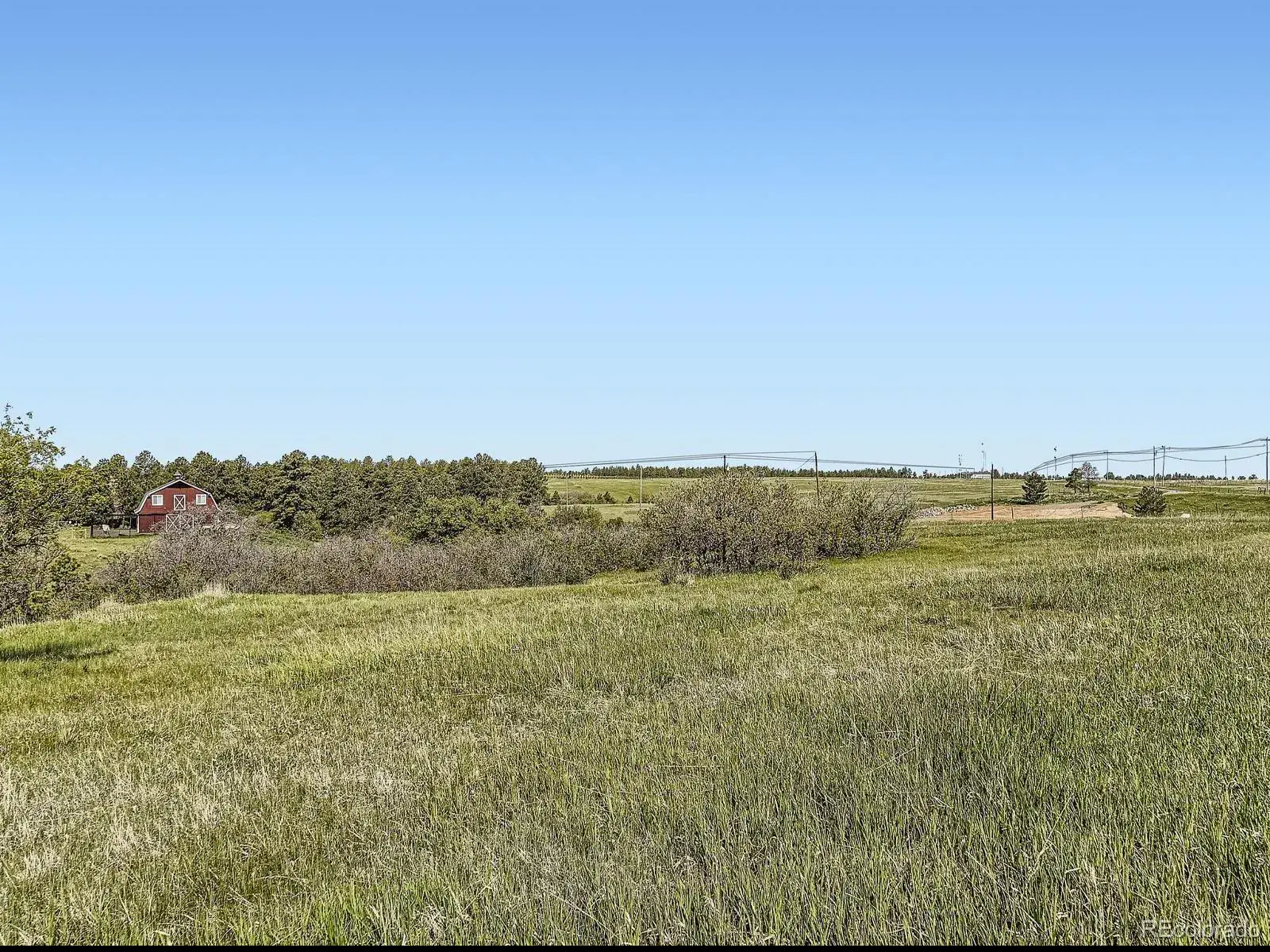 104 Bill Davis Road Franktown CO 80116 | MLS #REC7624943 01282026010647 1600 8