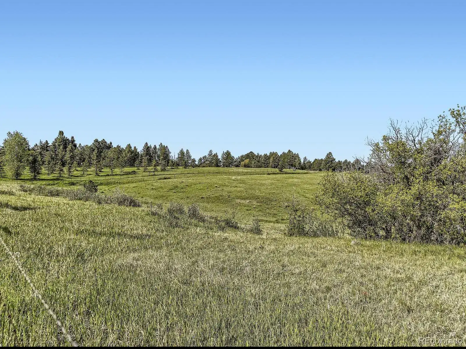 104 Bill Davis Road Franktown CO 80116 | MLS #REC7624943 01282026010647 1600 9