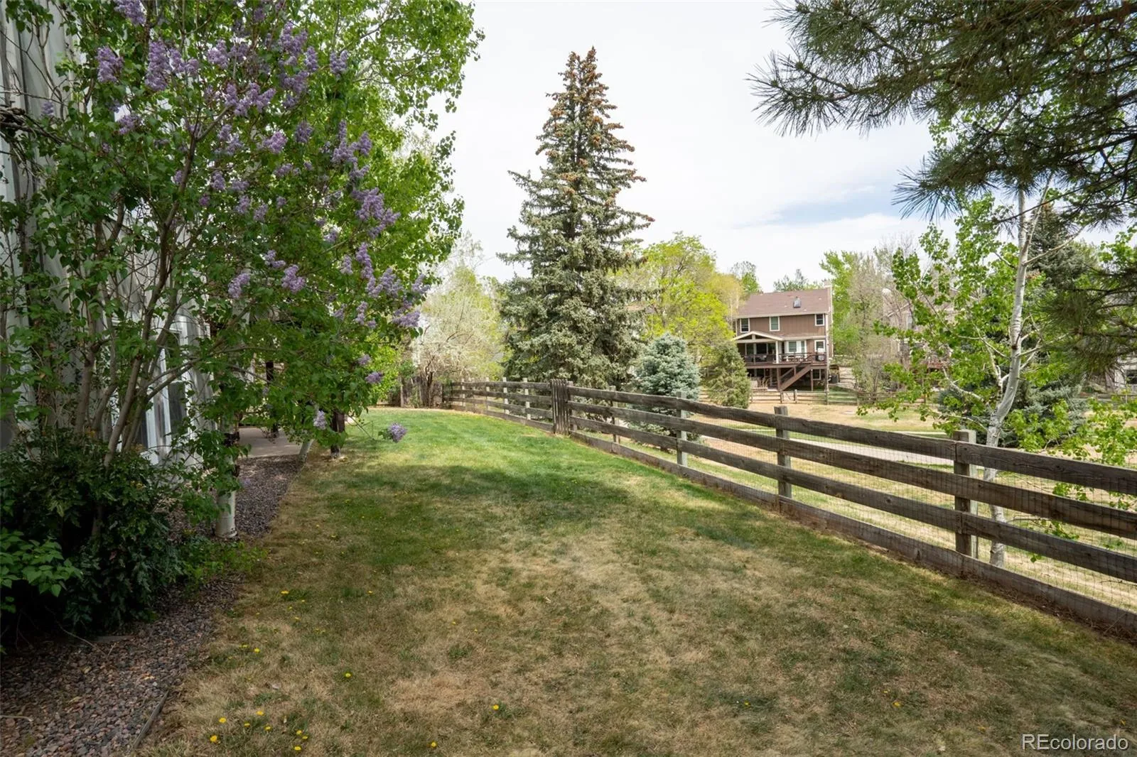 04152026165115 1600 42