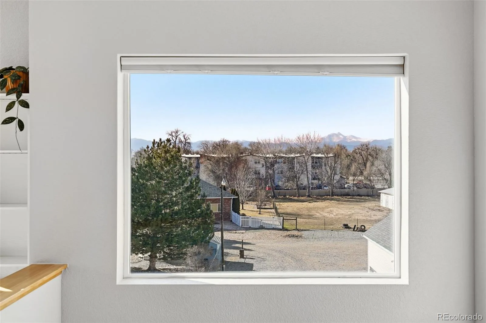 1530 Terry Street Longmont CO 80501 | MLS #REC7640155 08262026165722 1600 16