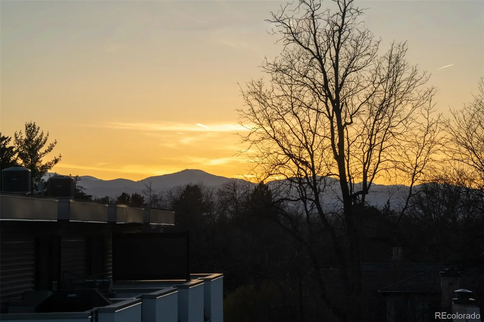 03132026184546 1600 25