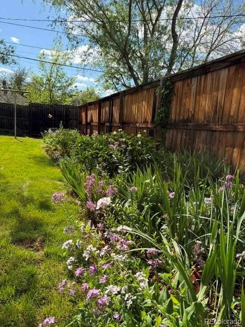 1381 Newport Street Denver CO 80220 MLS #REC7650647 05182026183157 480 5
