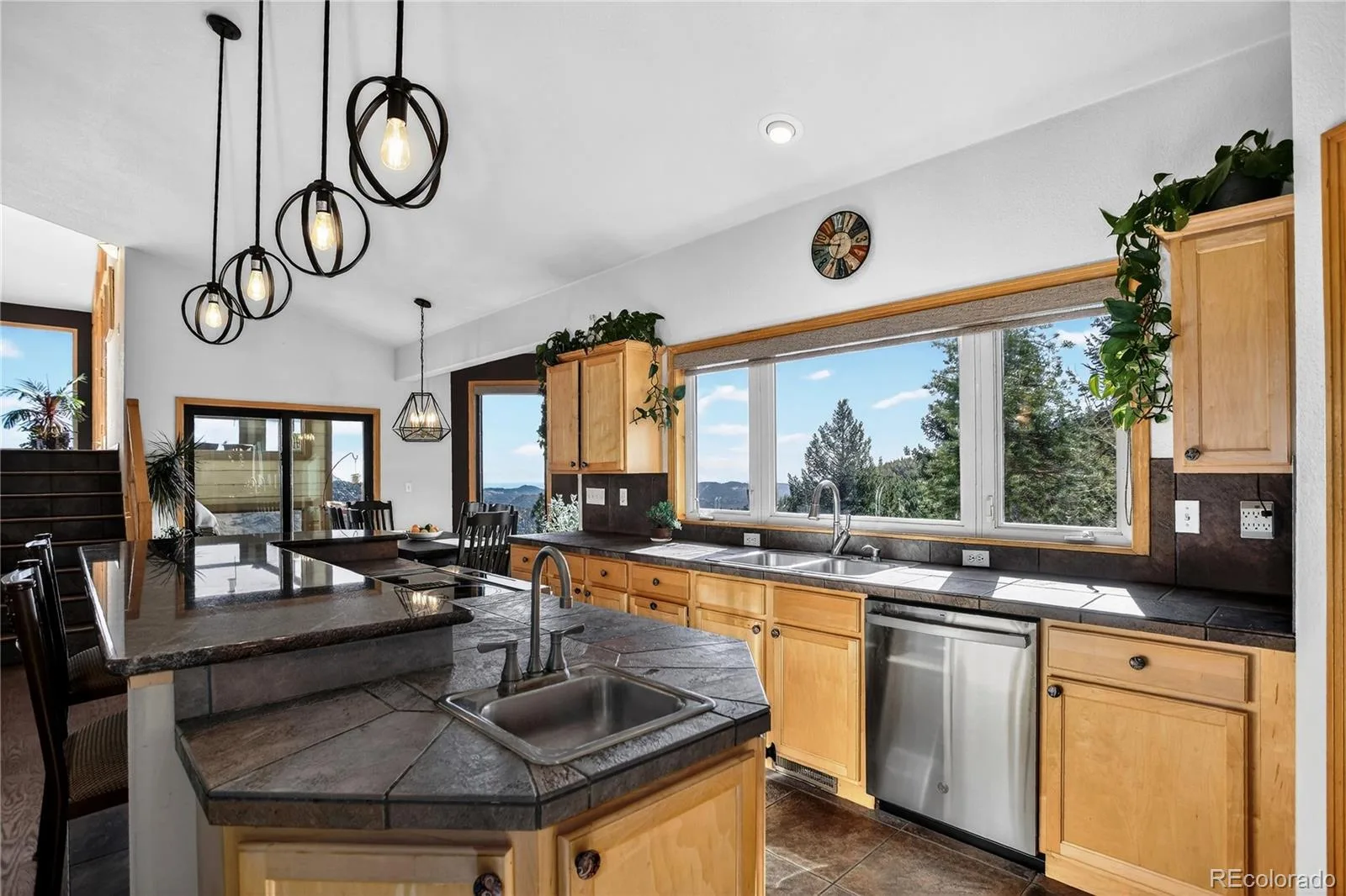 1255 Hy Vu Drive Evergreen CO 80439 | MLS #REC7659332 07192026155444 1600 11