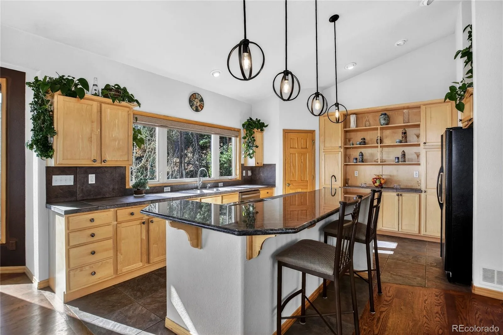1255 Hy Vu Drive Evergreen CO 80439 | MLS #REC7659332 07192026155444 1600 12