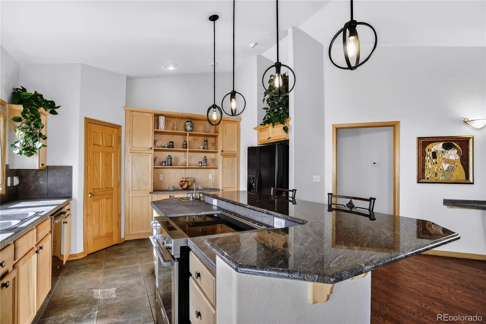 1255 Hy Vu Drive Evergreen CO 80439 | MLS #REC7659332 07192026155444 1600 13