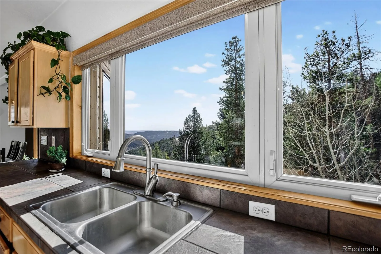 1255 Hy Vu Drive Evergreen CO 80439 | MLS #REC7659332 07192026155444 1600 15
