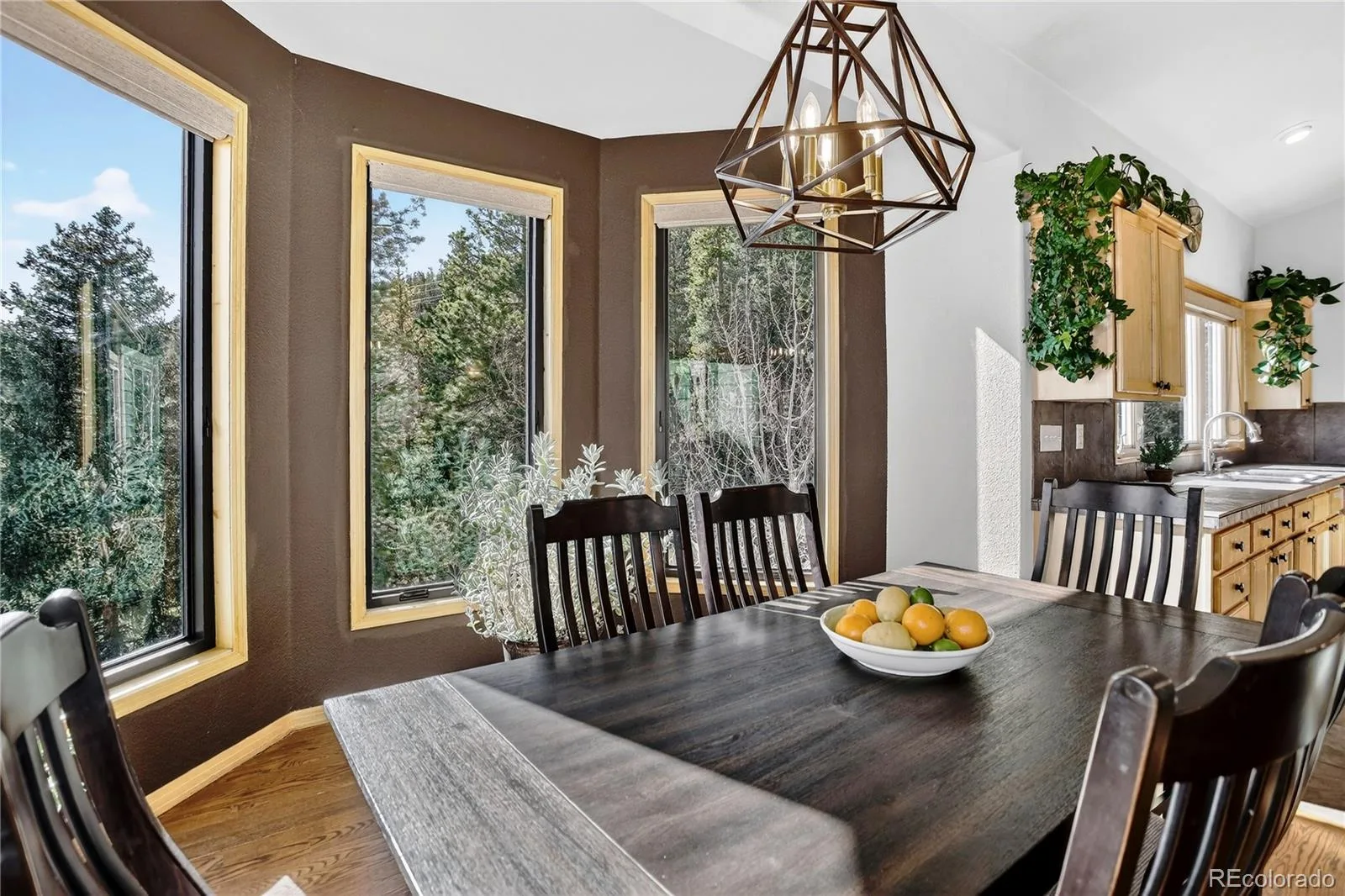 1255 Hy Vu Drive Evergreen CO 80439 | MLS #REC7659332 07192026155444 1600 17