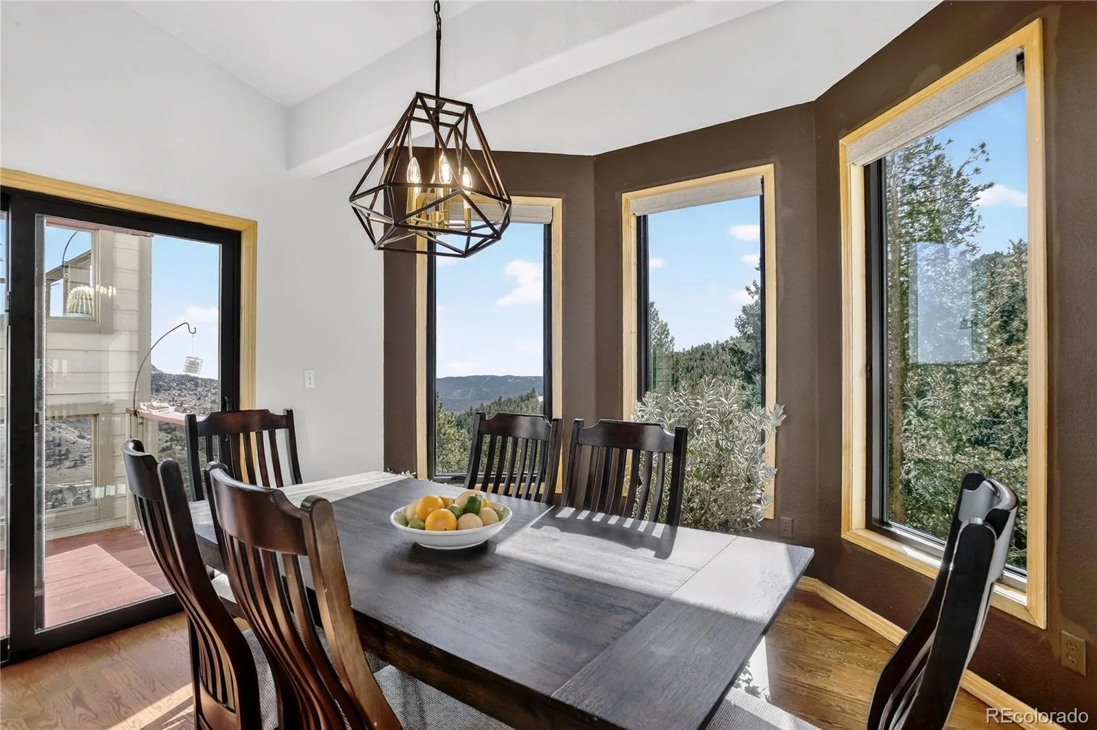 1255 Hy Vu Drive Evergreen CO 80439 | MLS #REC7659332 07192026155444 1600 18