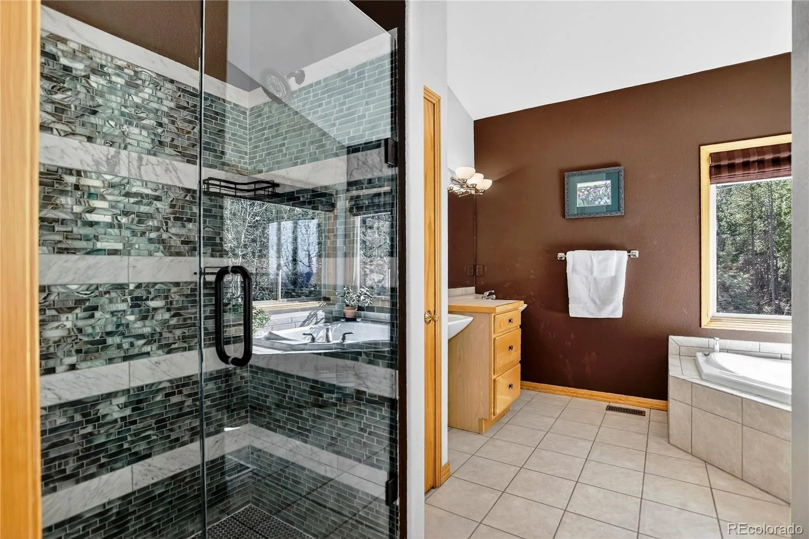 1255 Hy Vu Drive Evergreen CO 80439 | MLS #REC7659332 07192026155444 1600 28