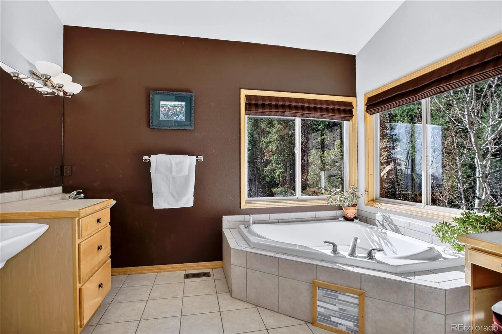 1255 Hy Vu Drive Evergreen CO 80439 | MLS #REC7659332 07192026155444 1600 29
