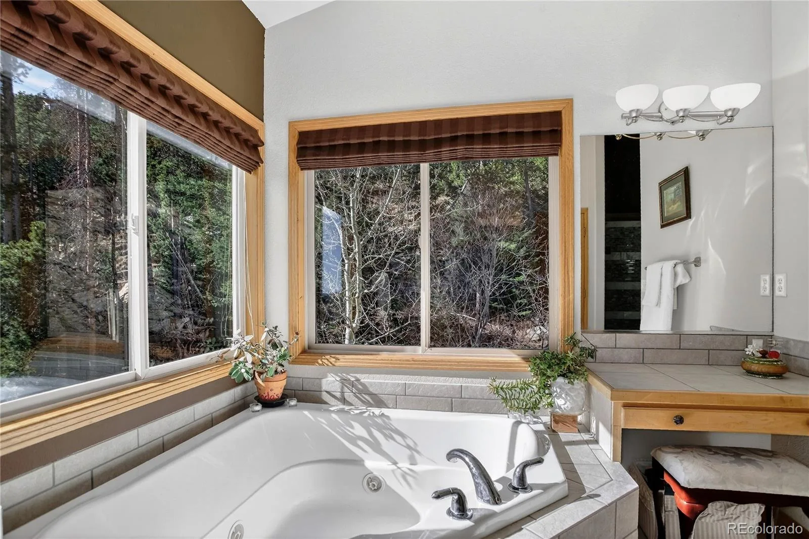 1255 Hy Vu Drive Evergreen CO 80439 | MLS #REC7659332 07192026155444 1600 30