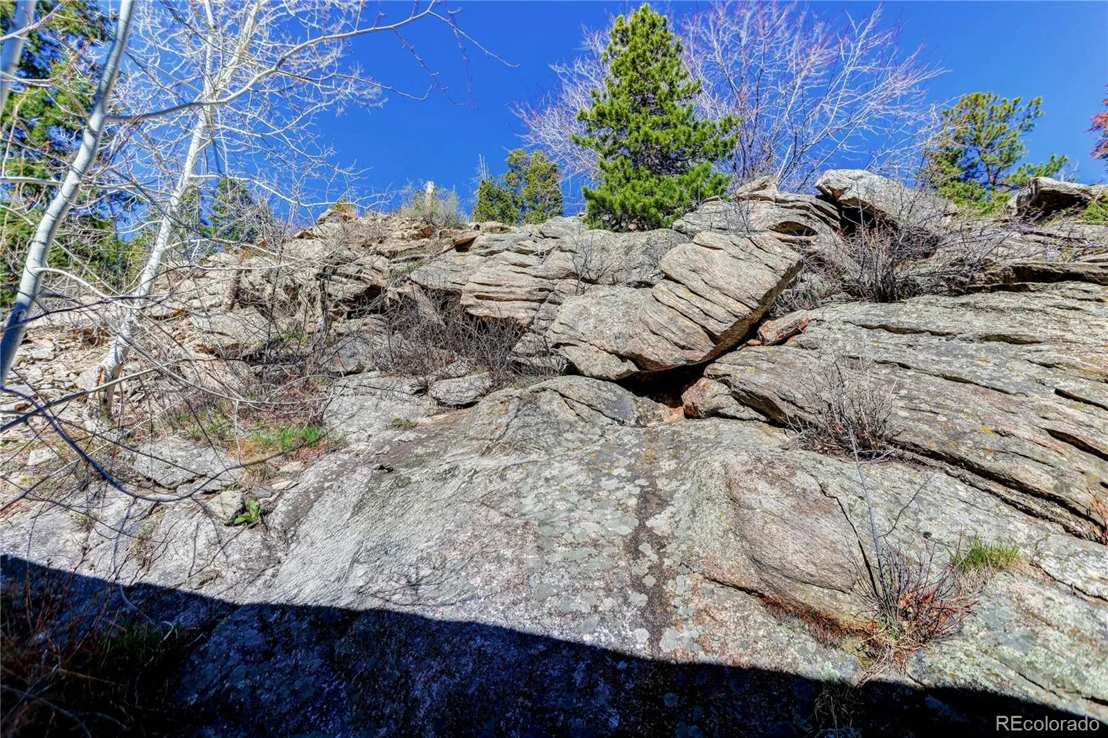 1255 Hy Vu Drive Evergreen CO 80439 | MLS #REC7659332 07192026155444 1600 43